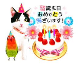 Animation Photo Sticker!Cat&Lovebird sticker #14163255