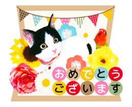 Animation Photo Sticker!Cat&Lovebird sticker #14163257