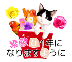 Animation Photo Sticker!Cat&Lovebird sticker #14163259