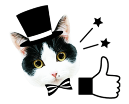 Animation Photo Sticker!Cat&Lovebird sticker #14163260