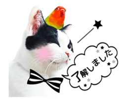 Animation Photo Sticker!Cat&Lovebird sticker #14163261
