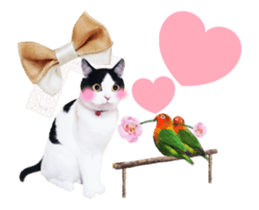 Animation Photo Sticker!Cat&Lovebird sticker #14163263