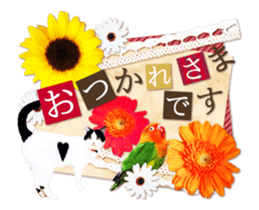 Animation Photo Sticker!Cat&Lovebird sticker #14163264