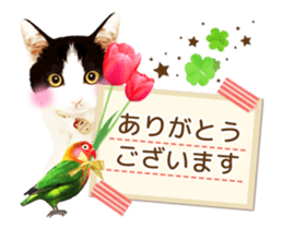 Animation Photo Sticker!Cat&Lovebird sticker #14163268