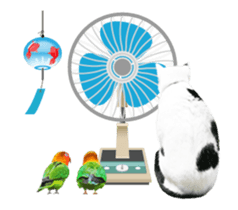 Animation Photo Sticker!Cat&Lovebird sticker #14163270