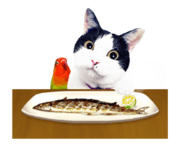 Animation Photo Sticker!Cat&Lovebird sticker #14163271