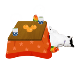 Animation Photo Sticker!Cat&Lovebird sticker #14163272
