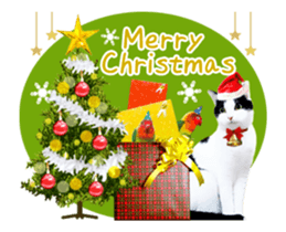 Animation Photo Sticker!Cat&Lovebird sticker #14163273