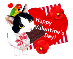 Animation Photo Sticker!Cat&Lovebird sticker #14163274