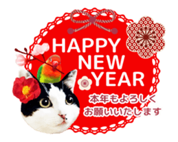 Animation Photo Sticker!Cat&Lovebird sticker #14163275