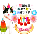Animation Photo Sticker!Cat&Lovebird