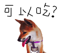 Yo's Life IV sticker #14163305