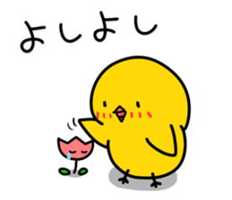 Chick's Everyday conversation - Season 3 sticker #14163317
