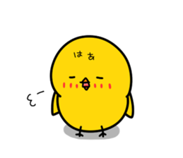 Chick's Everyday conversation - Season 3 sticker #14163340