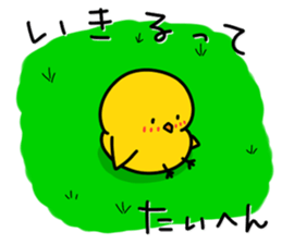 Chick's Everyday conversation - Season 3 sticker #14163345