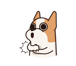 Playful Chihuahua II sticker #14164839