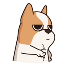 Playful Chihuahua II sticker #14164841