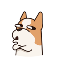 Playful Chihuahua II sticker #14164851