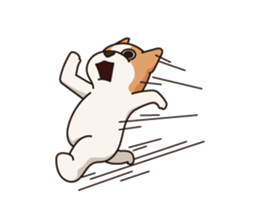 Playful Chihuahua II sticker #14164854