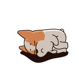 Playful Chihuahua II sticker #14164860