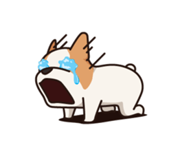 Playful Chihuahua II sticker #14164861