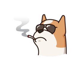 Playful Chihuahua II sticker #14164863