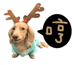 dooooog sticker #14165850