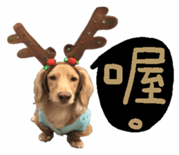 dooooog sticker #14165851