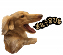 dooooog sticker #14165857