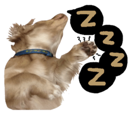 dooooog sticker #14165860