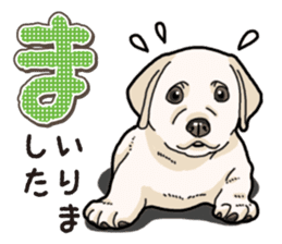 Banana's puppy Labrador retriever sticker #14166418