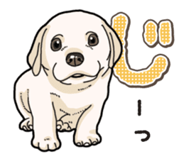 Banana's puppy Labrador retriever sticker #14166421