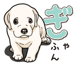 Banana's puppy Labrador retriever sticker #14166423