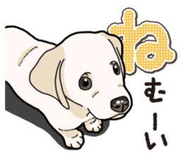 Banana's puppy Labrador retriever sticker #14166426