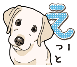 Banana's puppy Labrador retriever sticker #14166428