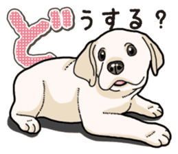 Banana's puppy Labrador retriever sticker #14166429