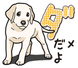 Banana's puppy Labrador retriever sticker #14166431