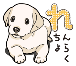 Banana's puppy Labrador retriever sticker #14166436