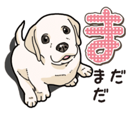 Banana's puppy Labrador retriever sticker #14166438