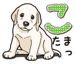 Banana's puppy Labrador retriever sticker #14166440