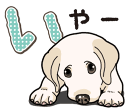 Banana's puppy Labrador retriever sticker #14166446