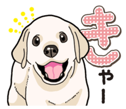 Banana's puppy Labrador retriever sticker #14166449