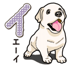 Banana's puppy Labrador retriever sticker #14166451