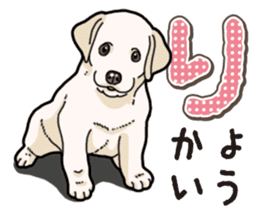Banana's puppy Labrador retriever sticker #14166453