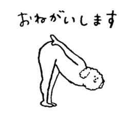 White fluffy dog's name is Hori sticker #14167545