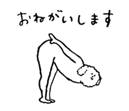 White fluffy dog's name is Hori sticker #14167545