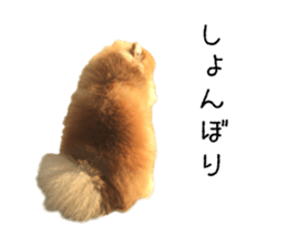 pomeranian fuku sticker #14169246