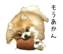 pomeranian fuku sticker #14169253