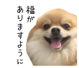 pomeranian fuku sticker #14169260