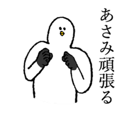 Seagull's name is Asami sticker #14169336